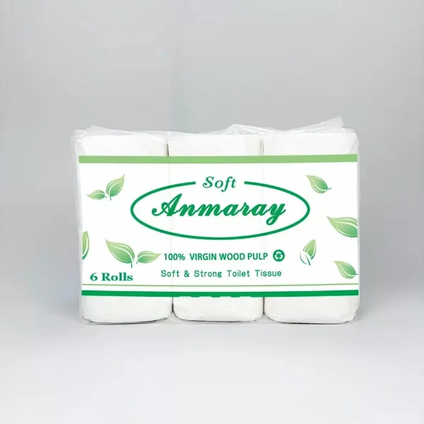 6 rolls toilet tissue roll