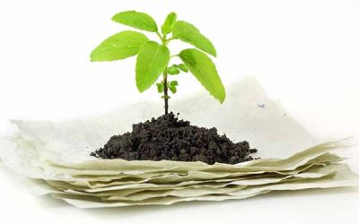 Why is recycled toilet paper more environmentally friendly?