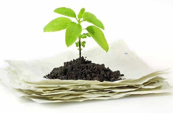 Why is recycled toilet paper more environmentally friendly?