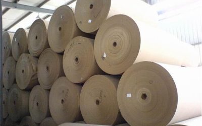 What are the raw materials of toilet paper?