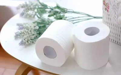 Insights into Toilet Paper Usage Habits