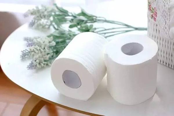 Insights into Toilet Paper Usage Habits
