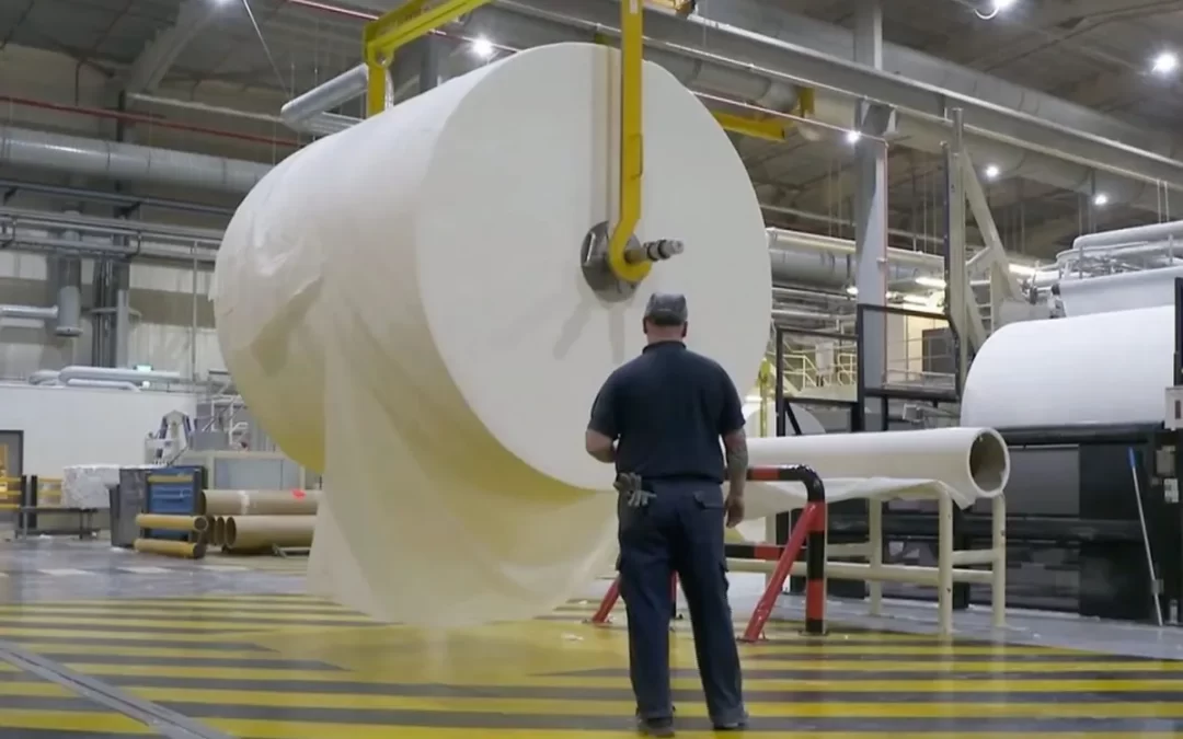 What are the Raw Materials for Making Tissue Paper?