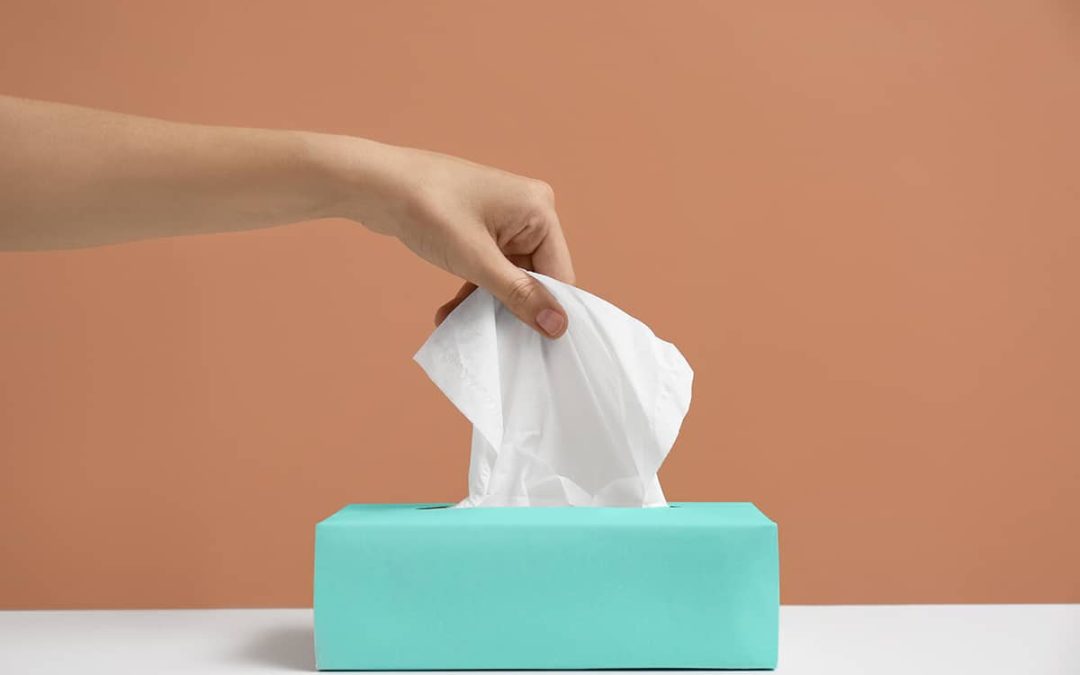 Choosing the Right Tissue Box Sizes for Your Needs