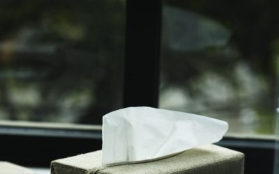 The Battle of Absorbency: Paper Towel vs. Tissue