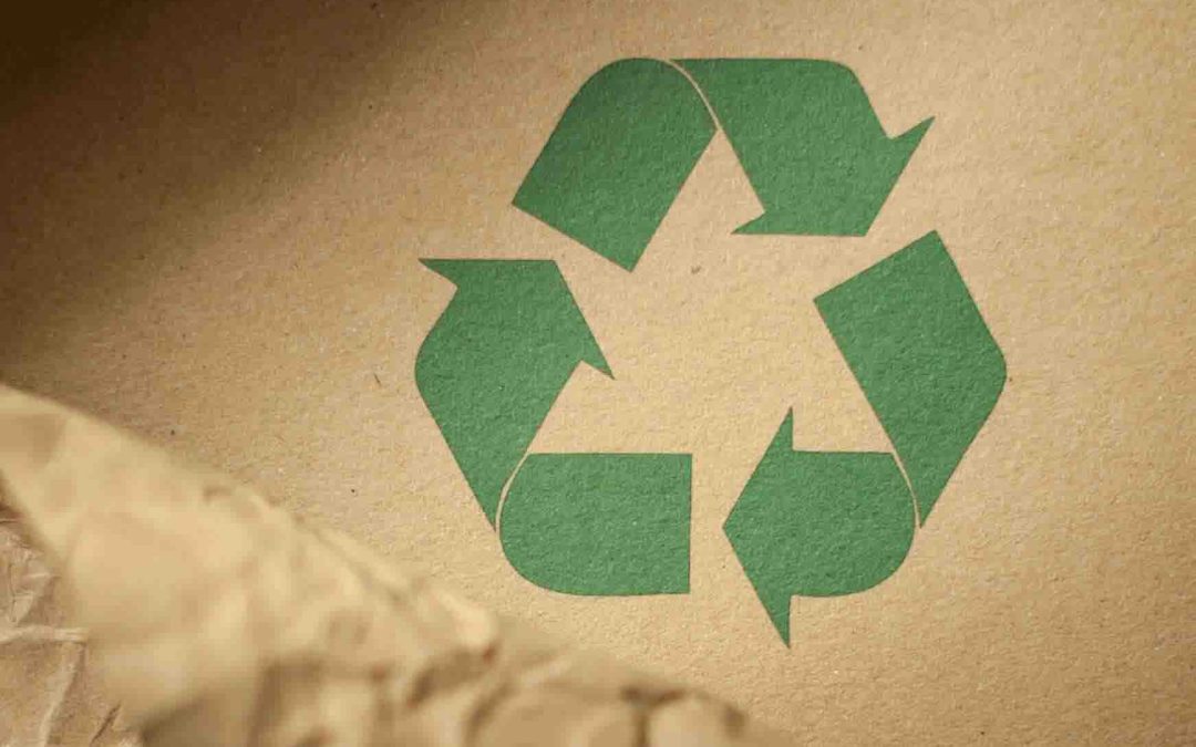 Comparing Bamboo Toilet Paper vs Recycled: Which is the Eco-Friendlier Choice?