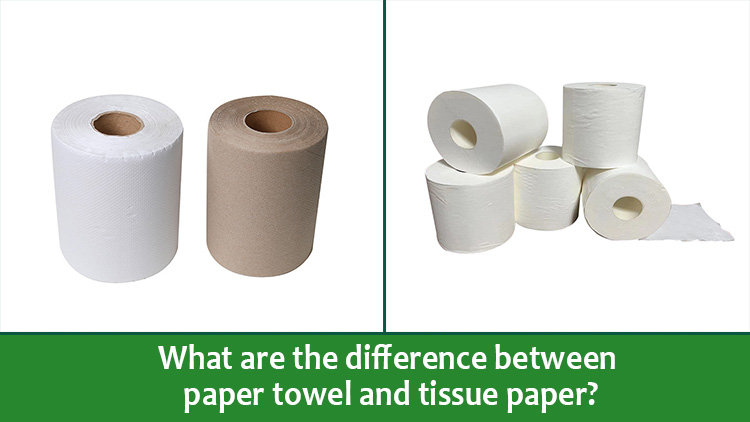 What Is The Difference Between Paper Towels And Tissues
