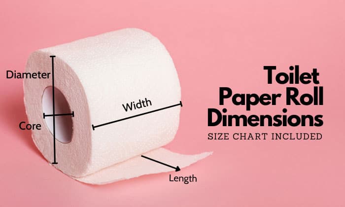 toilet paper roll dimensions