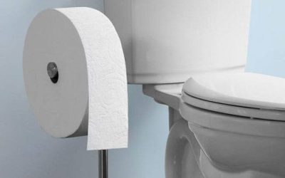Origin of Toilet Paper