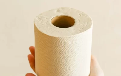 Unbleached Toilet Paper