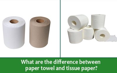 What Is The Difference Between Paper Towels And Tissues?