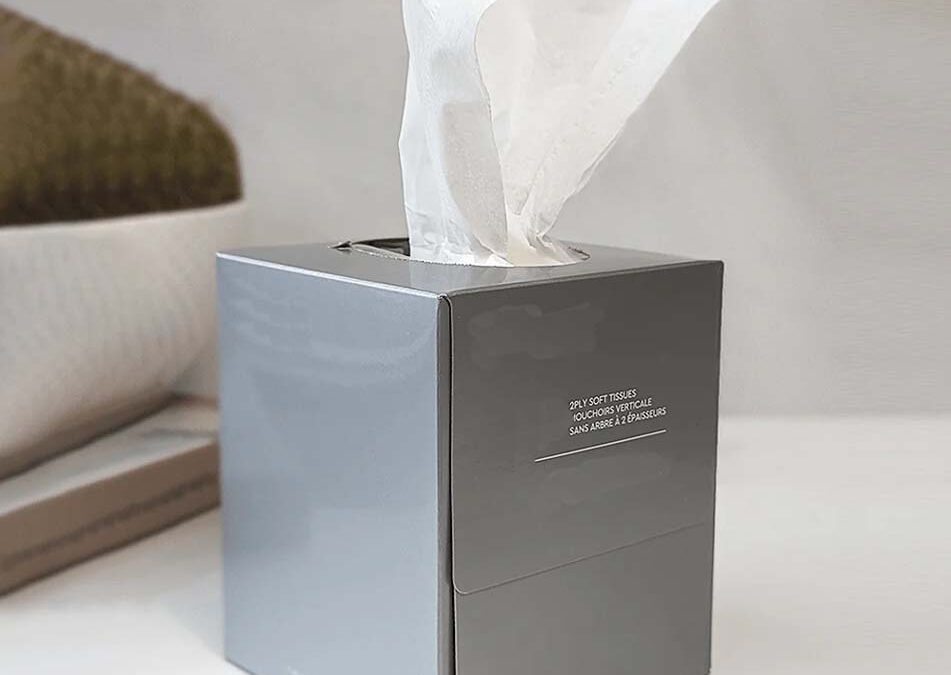 Facial Tissue Cubes: The Perfect Solution for On-the-Go Hygiene