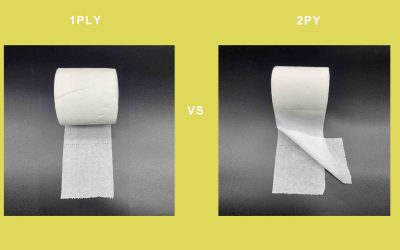 One Ply vs Two Ply Toilet Paper