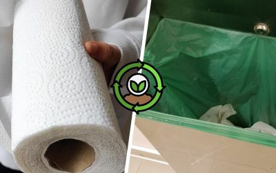 Are paper towels biodegradable?